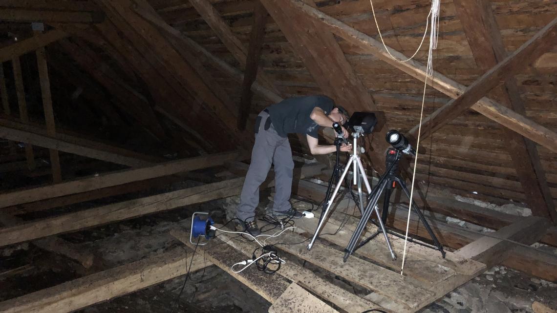 Im Dachstock installierte Infrarot-Kameras erlauben einen Blick in die Fledermauskolonie.