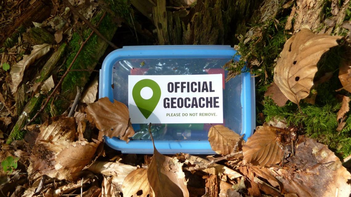 Geocaching ist ein beliebtes Hobby, welches jedoch Fledermäuse beeinträchtigen kann.