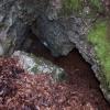 Viele Fledermausarten nutzen unterirdische Höhlen als Winterquartiere.